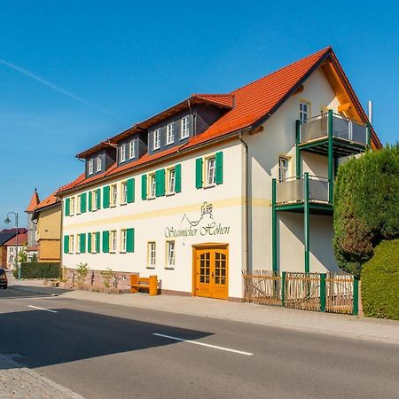 Staimicher Hoehen - Premium Appartements Kurort Steinbach-Hallenberg Exteriér fotografie